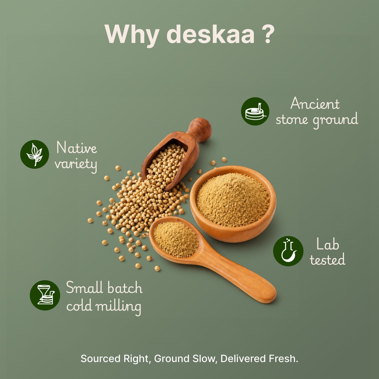 Dhaniya Powder