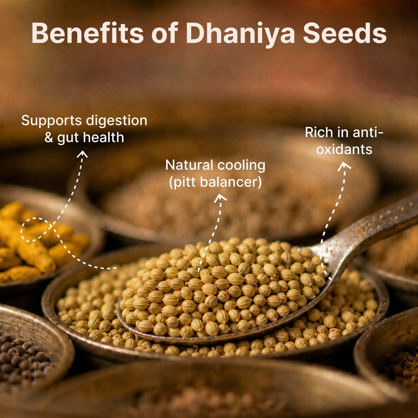 Dhaniya (Coriander) Seeds Whole
