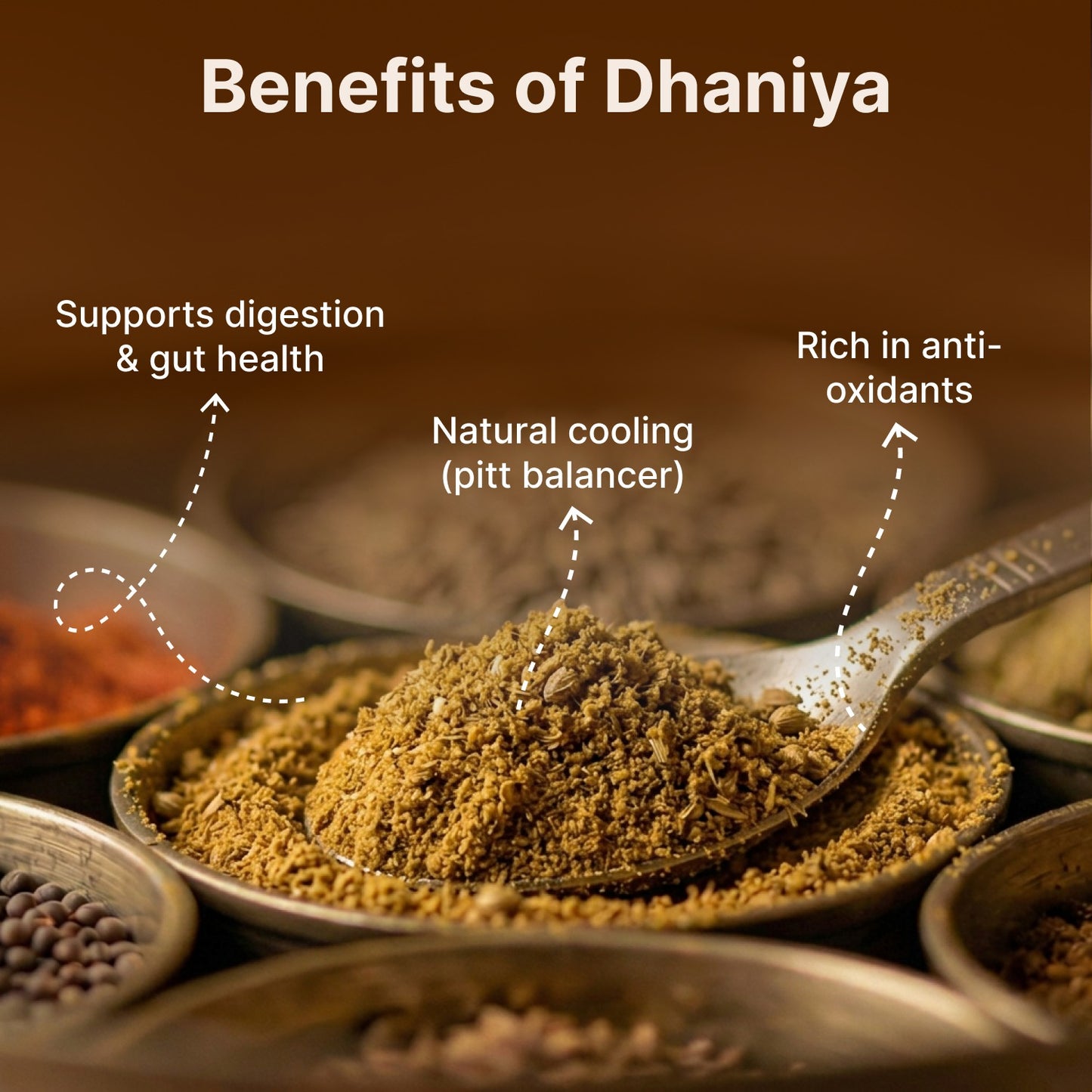 Dhaniya Powder
